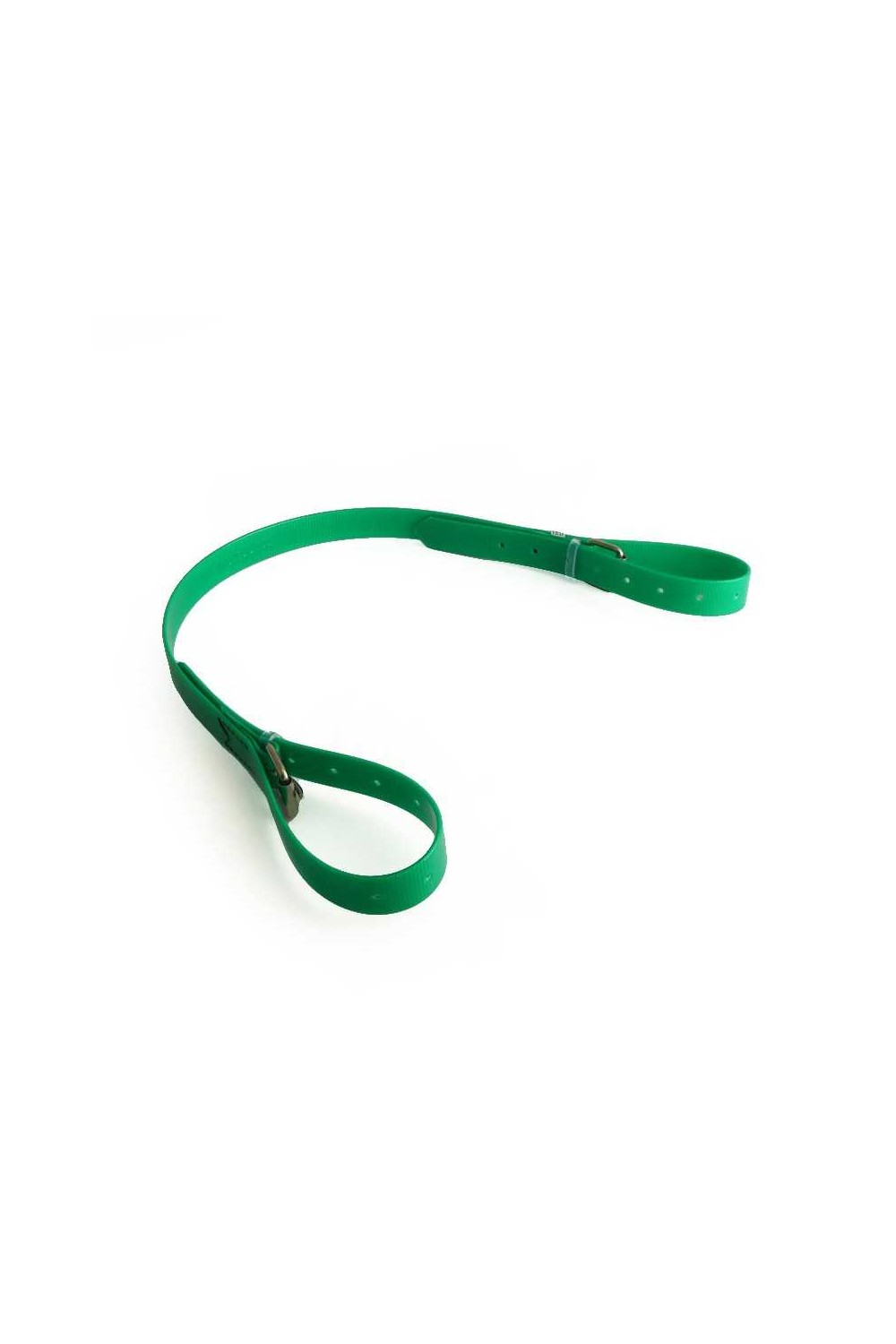 CORREA DE RAMASSAGE DE BIOTANE