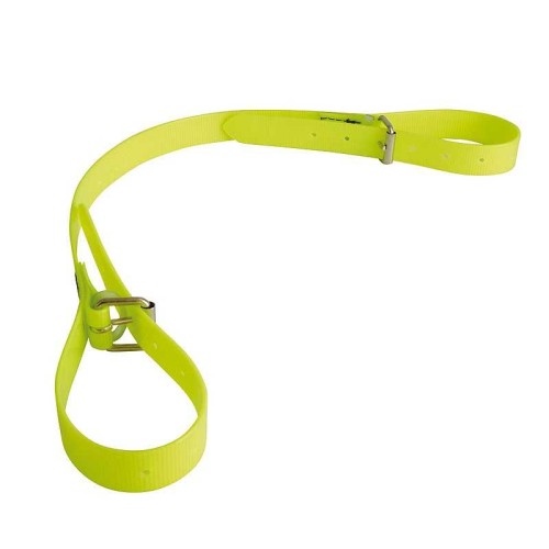 CORREA DE RAMASSAGE DE BIOTANE