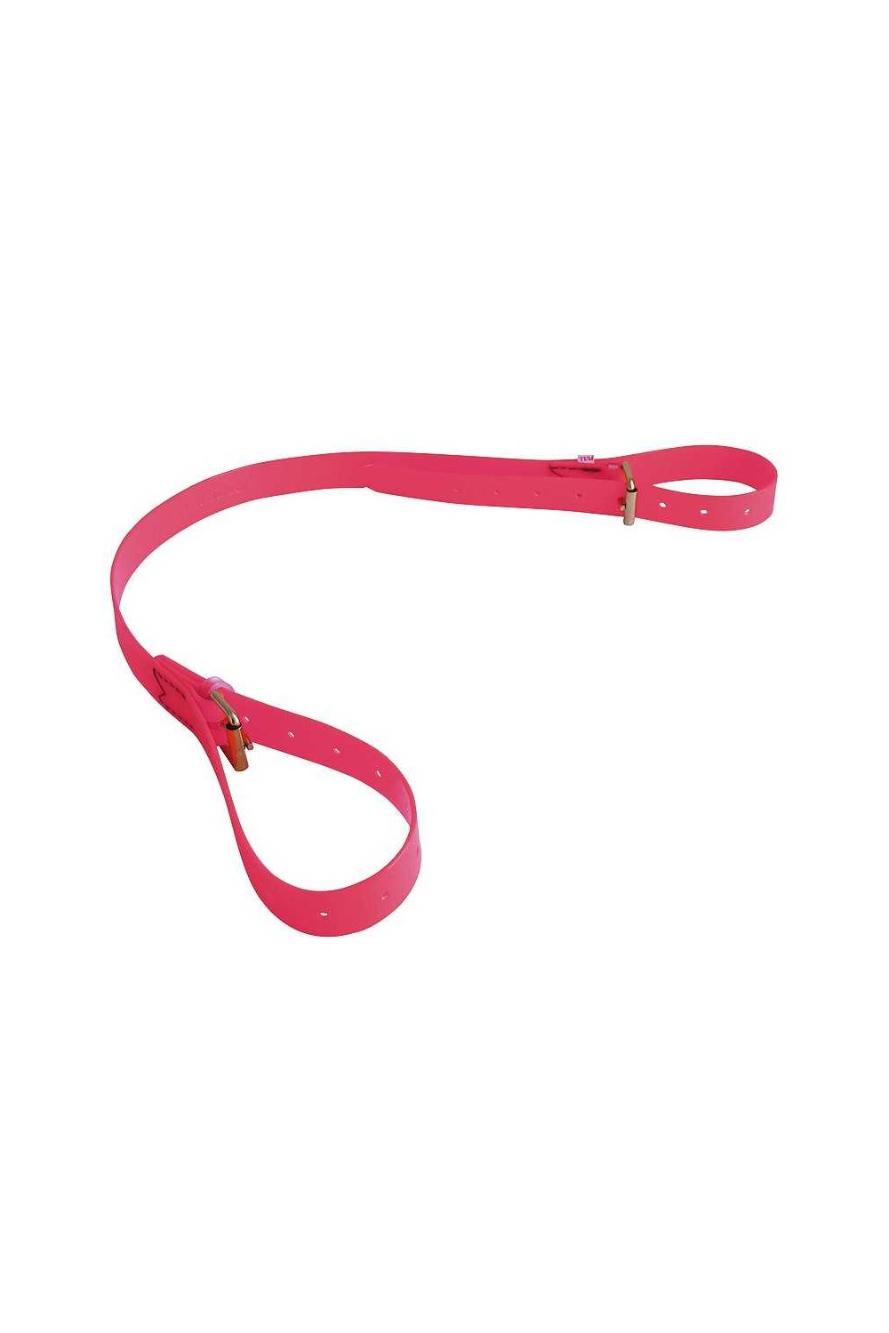 CORREA DE RAMASSAGE DE BIOTANE