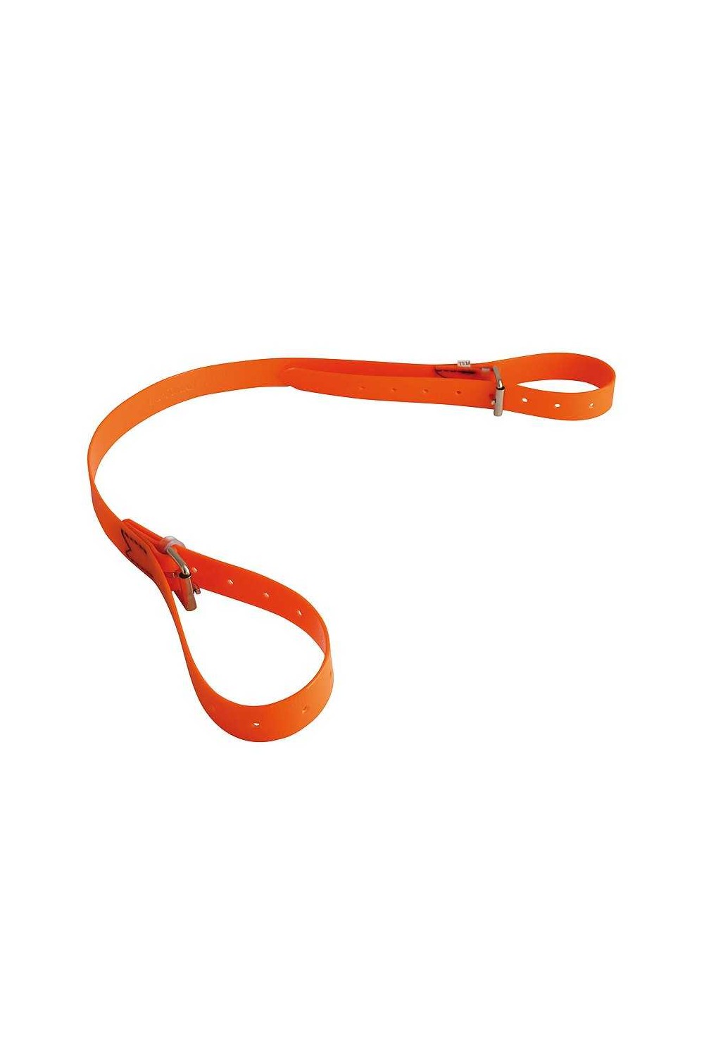 CORREA DE RAMASSAGE DE BIOTANE