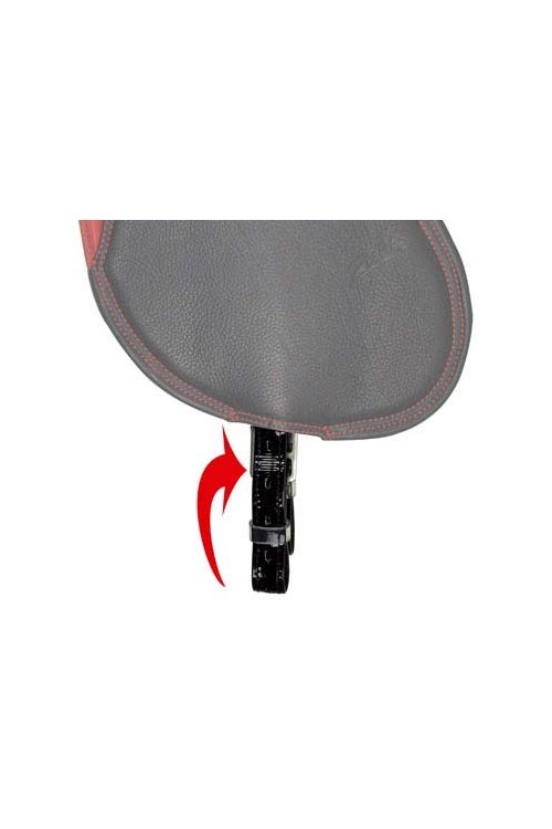 ACIÃ“N BIOTANE/CUERO VILAÂ´S (sÃ³lo correa)