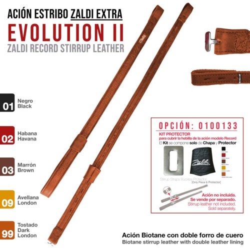 ACIÃ“N ESTRIBO ZALDI EXTRA EVOLUTION II