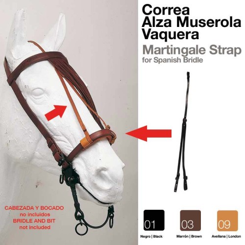 CORREA ALZA MUSEROLA VAQUERA
