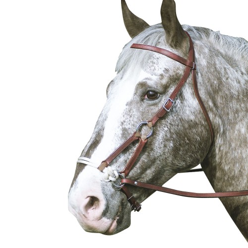 CABEZADA MONTAR WESTERN SIDEPULL