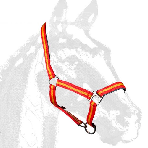 CABEZADA CUADRA CASTECUS NYLON/PVC