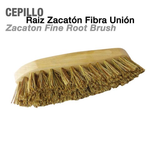 CEPILLO RAIZ ZACATÃ“N FIBRA UNIÃ“N
