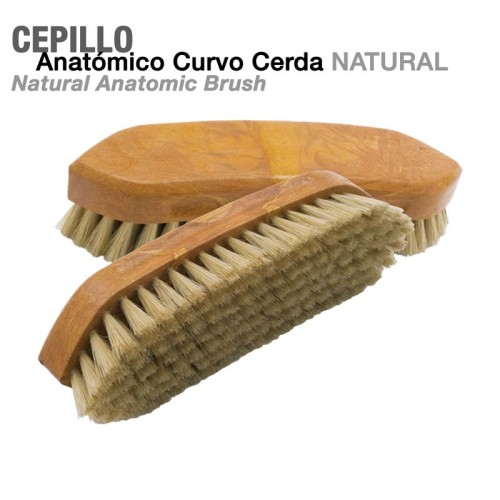 CEPILLO ANATÃ“MICO CURVO CERDA NATURAL