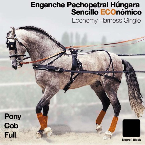 ENGANCHE PECHOPETRAL HÃšNGARA SENCILLO ECONÃ“MICO