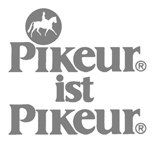 CHAQUETA PIKEUR