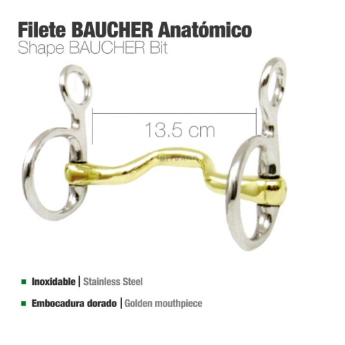 FILETE BAUCHER ANATÃ“MICO BBI INOX