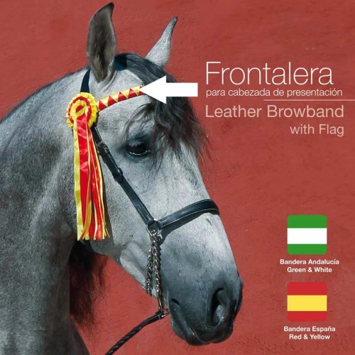 FRONTALERA PARA CABEZADA PRESENTACIÃ“N