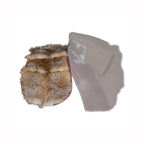 XAIREL PORTUGUÃ‰S DE RAPOSA