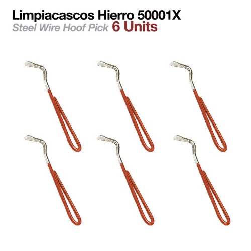 LIMPIACASCOS HIERRO 50001X 6uds
