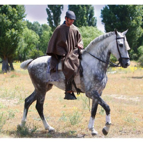 PONCHO ROCIERO DE LANA ECO