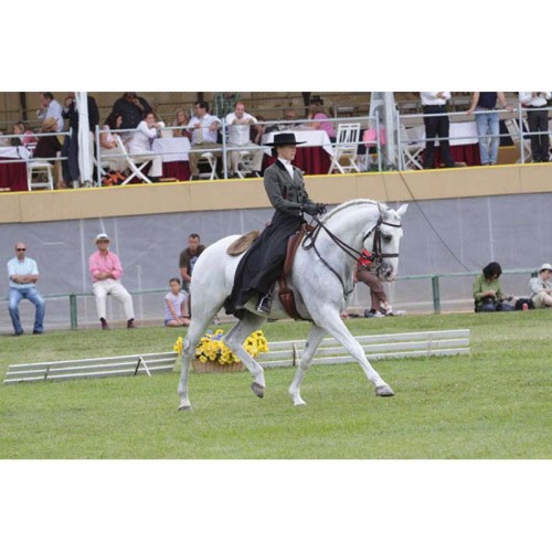 TRAJE PORTUGUÃ‰S CHALECO CABALLERO NEGRO