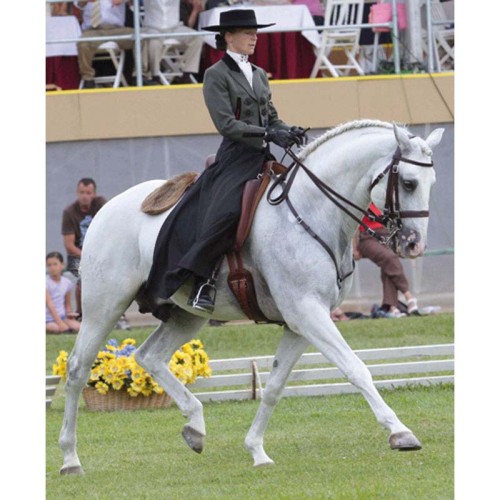 TRAJE PORTUGUÃ‰S CAMISA PORTUGUESA cromado M/3