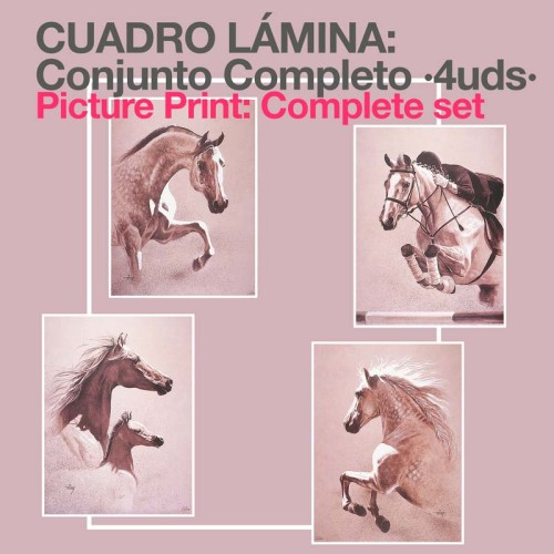 CUADRO LÃMINA: CONJUNTO COMPLETO (4uds)