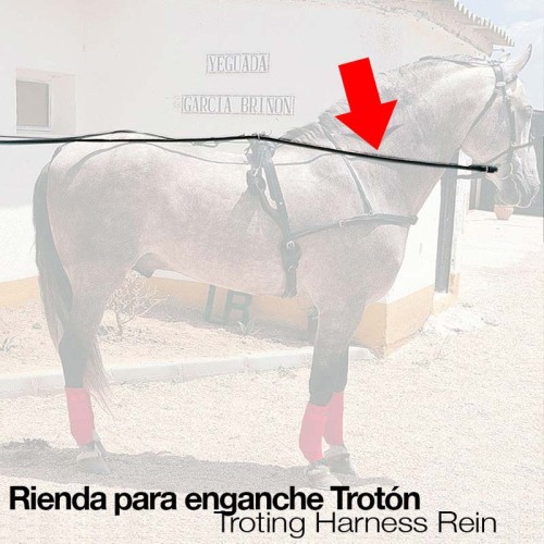 ENGANCHE RIENDA TROTÃ“N NEGRO