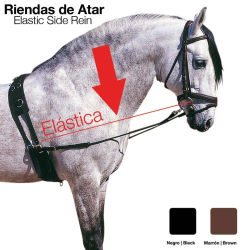 RIENDAS ATAR ELÃSTICA 1836