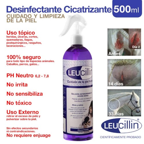ZALDI DESINFECTANTE CICATRIZANTE LEUCILLIN