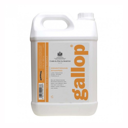 CARR & DAY CHAMPÃš CABALLO GALLOP