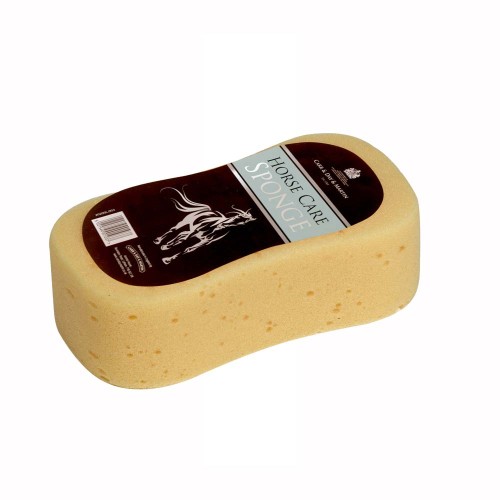 CARR & DAY ESPONJA GRANDE 18cmX10cm