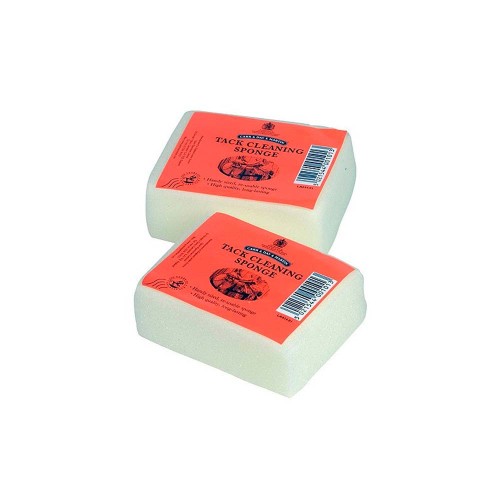 CARR & DAY ESPONJA PEQUEÃ‘A 10cmX7cm