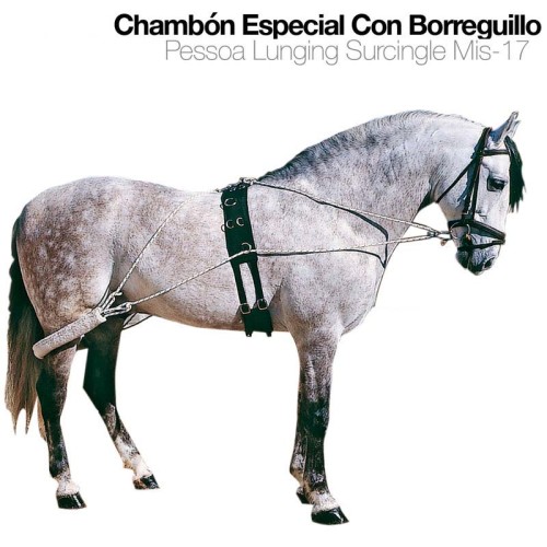 CHAMBÃ“N ESPECIAL CON BORREGUILLO MIS-17