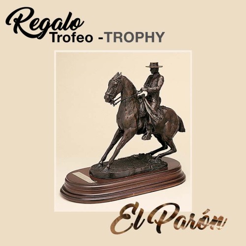 REGALO TROFEO -EL PARÃ“N- (BRONCE)