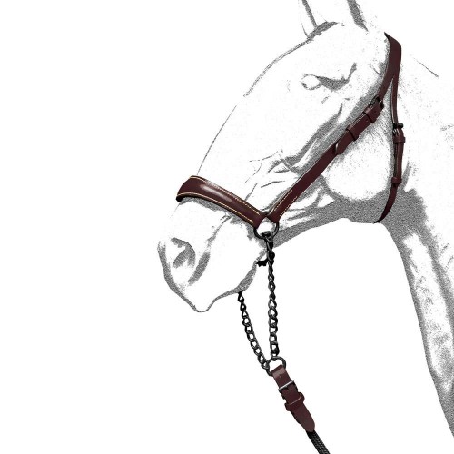 CABEZADA PRESENTACIÃ“N ANCHA CON RAMAL RONDA