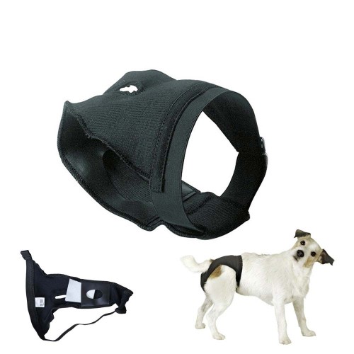 PERRO BRAGUITA PROTECCIÃ“N PARA PERRA NEGRO