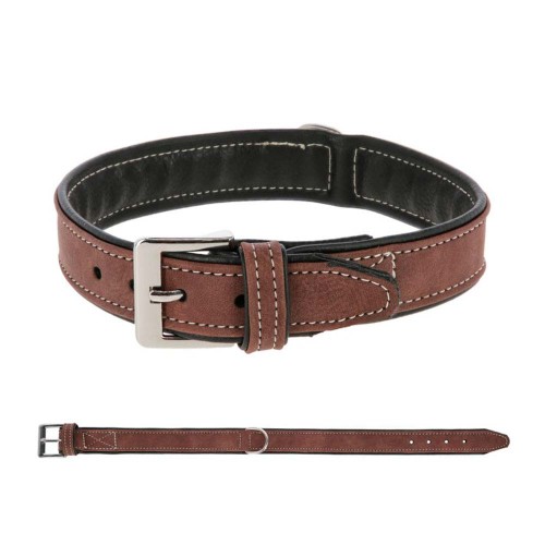 PERRO COLLAR CALIFORNIA MARRÃ“N