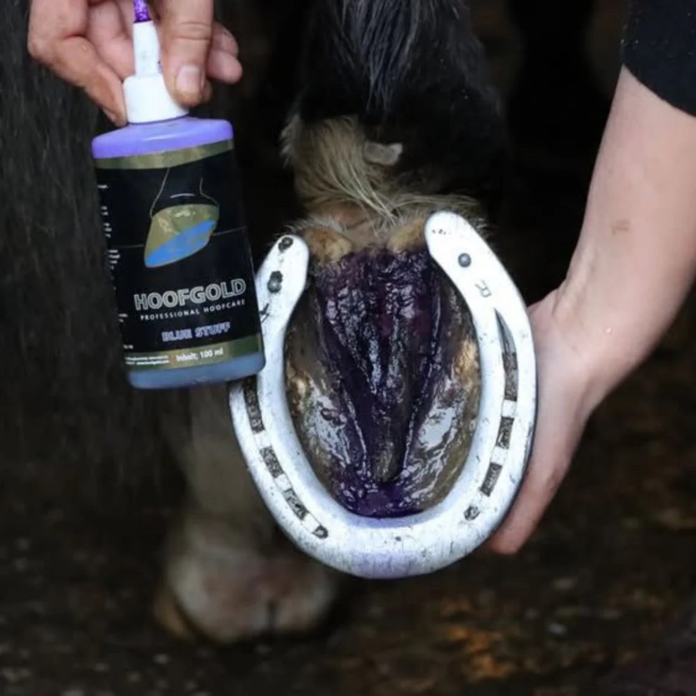 BLUE STUFF PARA RANILLA HOOFGOLD