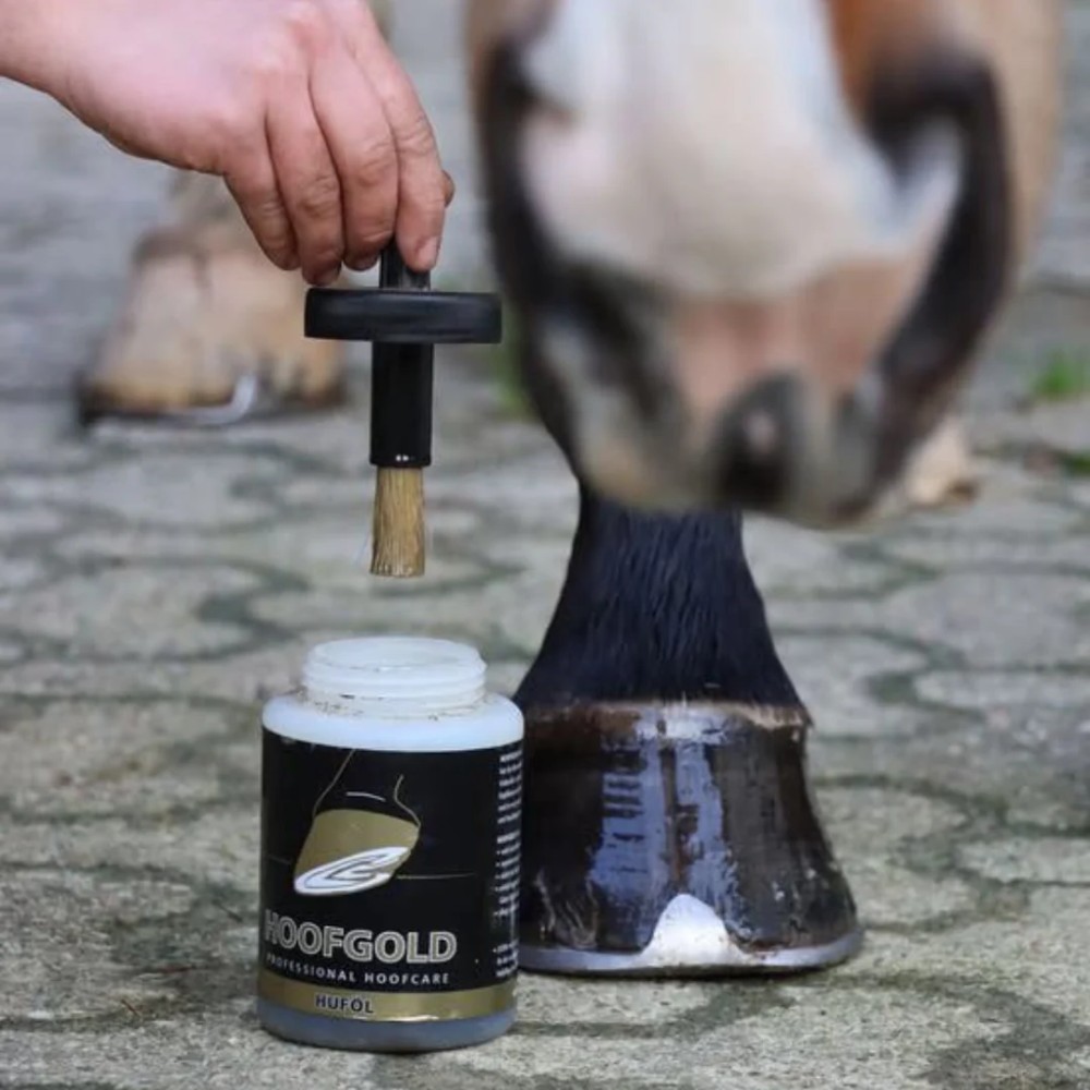 ACEITE PARA CASCOS HOOFGOLD