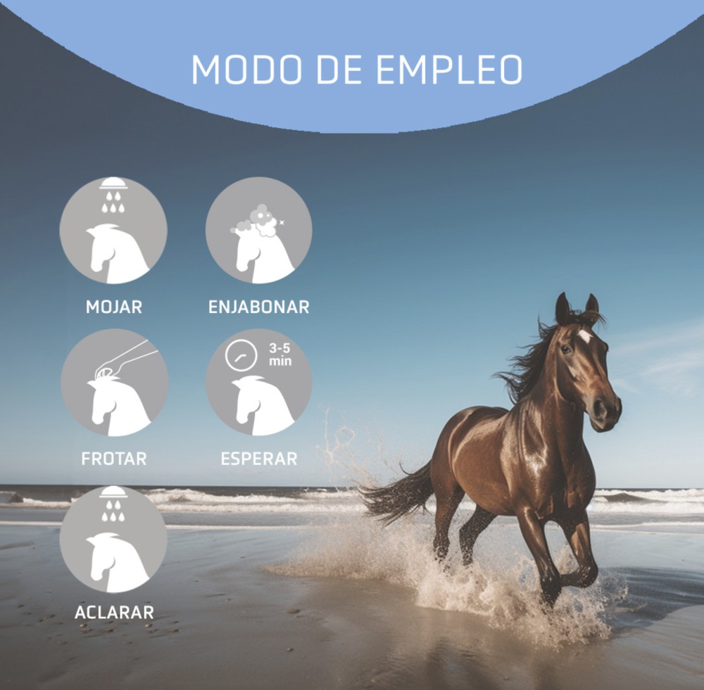 CHAMPÚ SUBLIME ARTERO