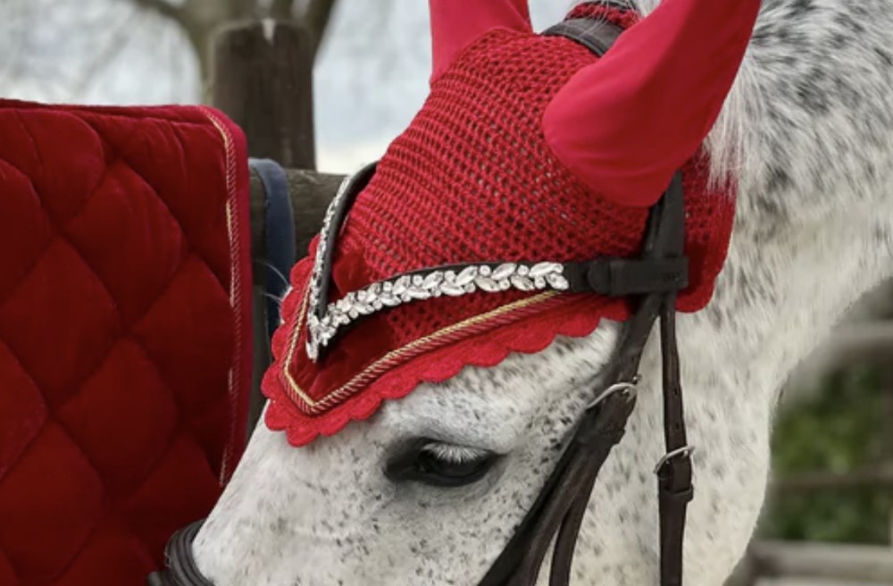 FRONTALERA WHISPERER CLUB