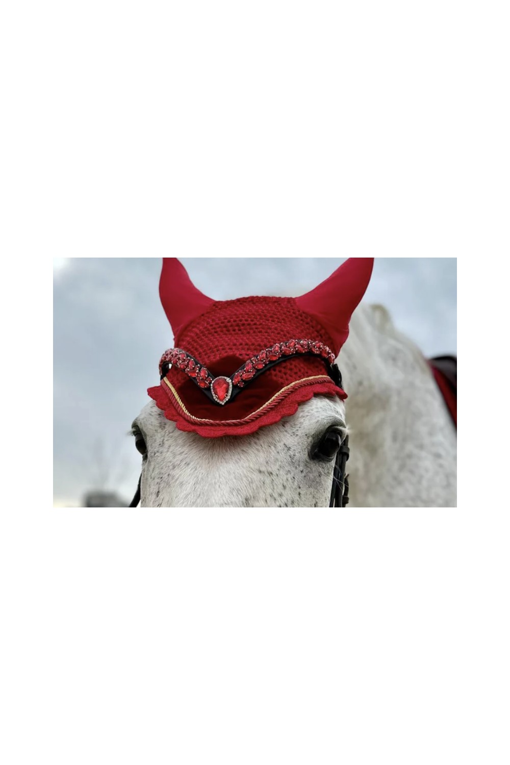 FRONTALERA WHISPERER CLUB