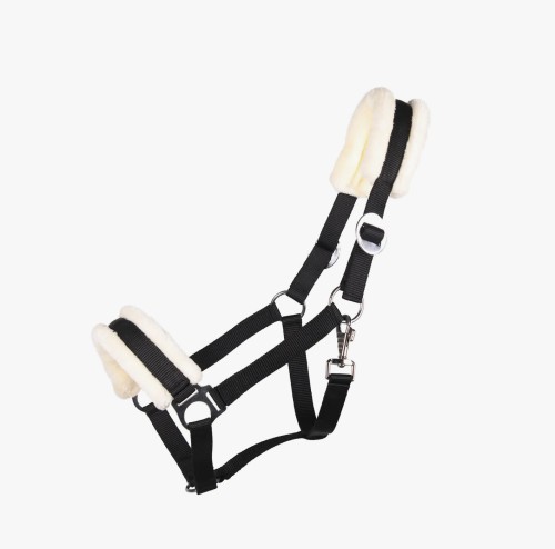 CABEZADA DE CUADRA CALI QHP 2