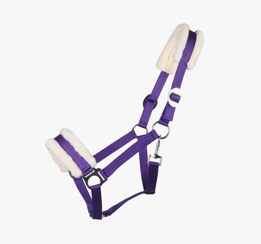 CABEZADA DE CUADRA CALI QHP