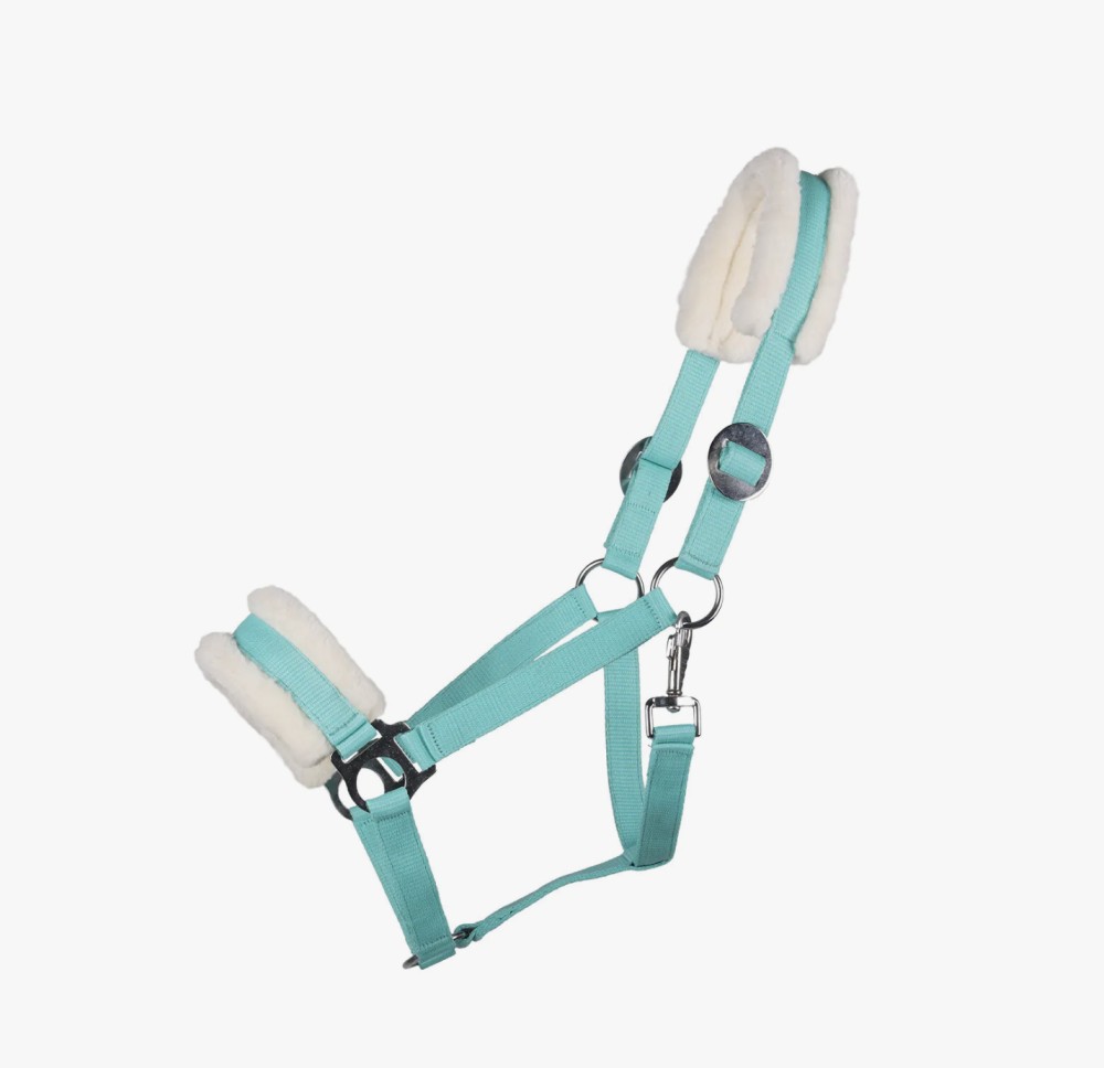 CABEZADA DE CUADRA CALI QHP