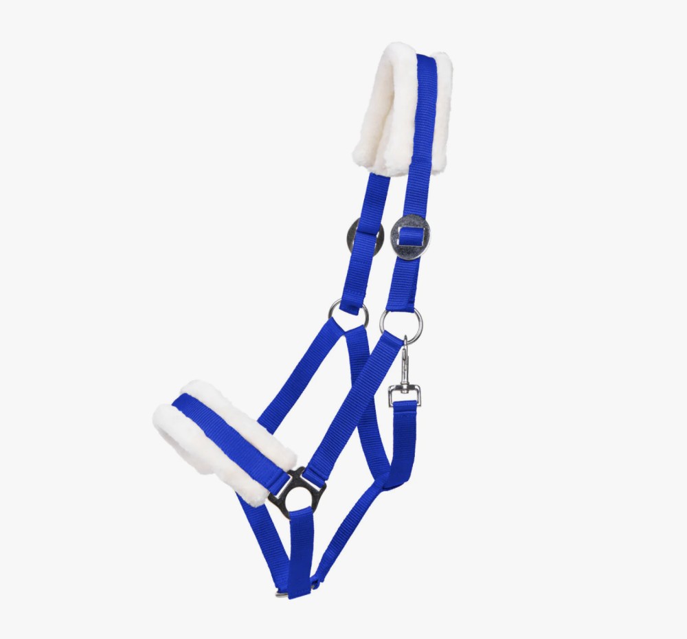 CABEZADA DE CUADRA CALI QHP