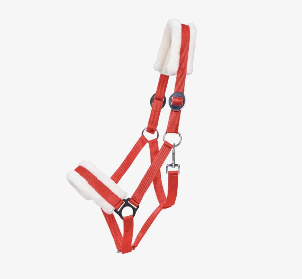 CABEZADA DE CUADRA CALI QHP