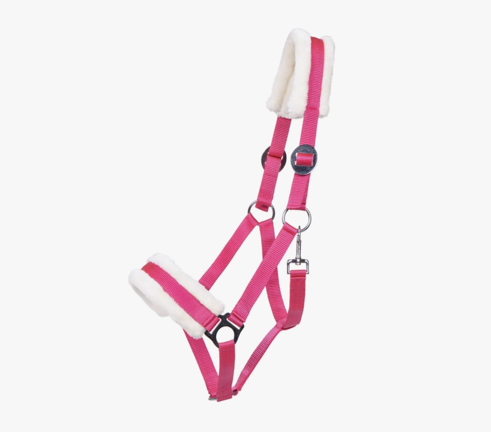 CABEZADA DE CUADRA CALI QHP