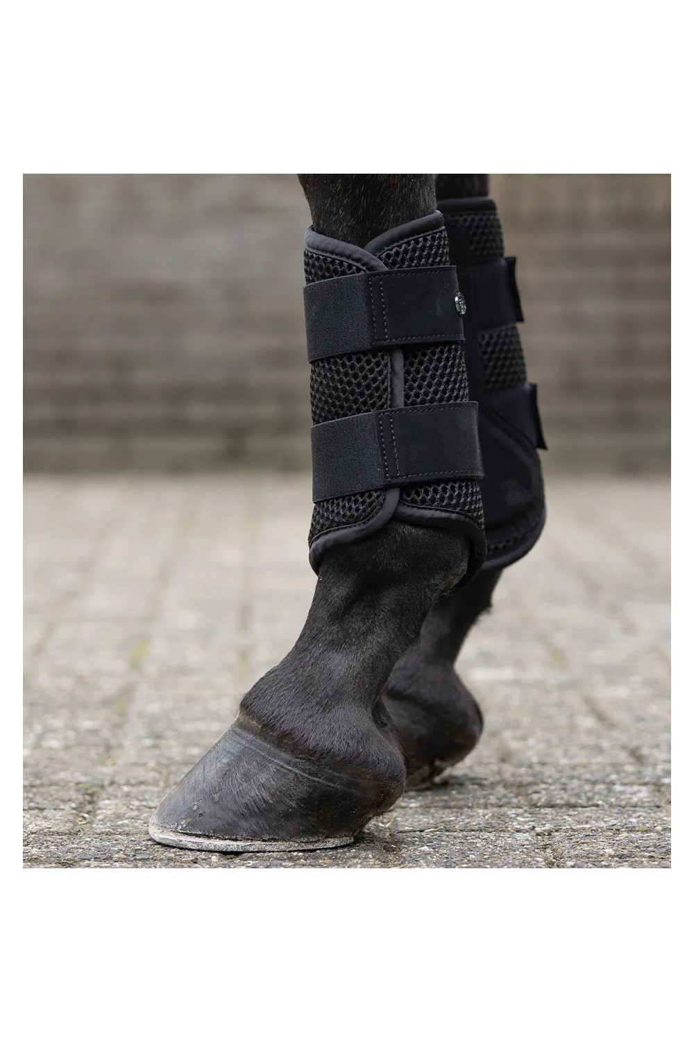 PROTECTORES JORINE QHP