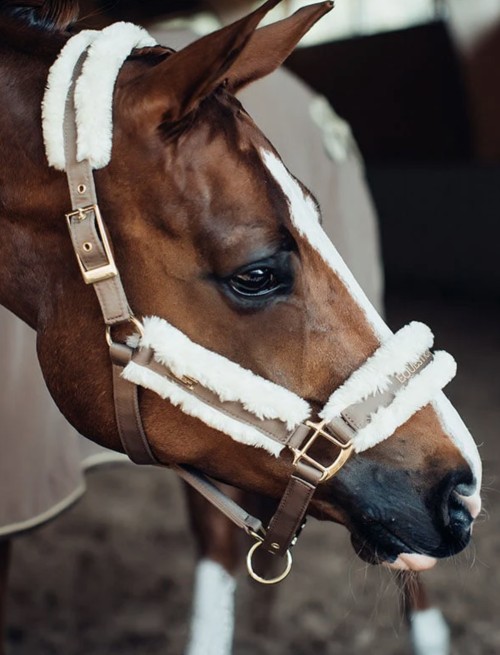 CABEZADA EQUESTRIAN STOCKHOLM CHAMPAGNE 2