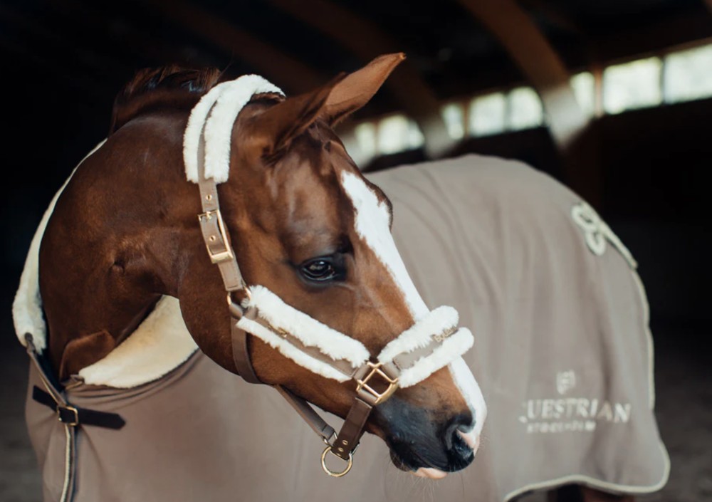 CABEZADA EQUESTRIAN STOCKHOLM CHAMPAGNE