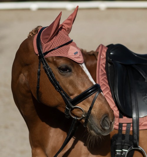 OREJERAS CORAL EQUESTRIAN STOCKHOLM 2