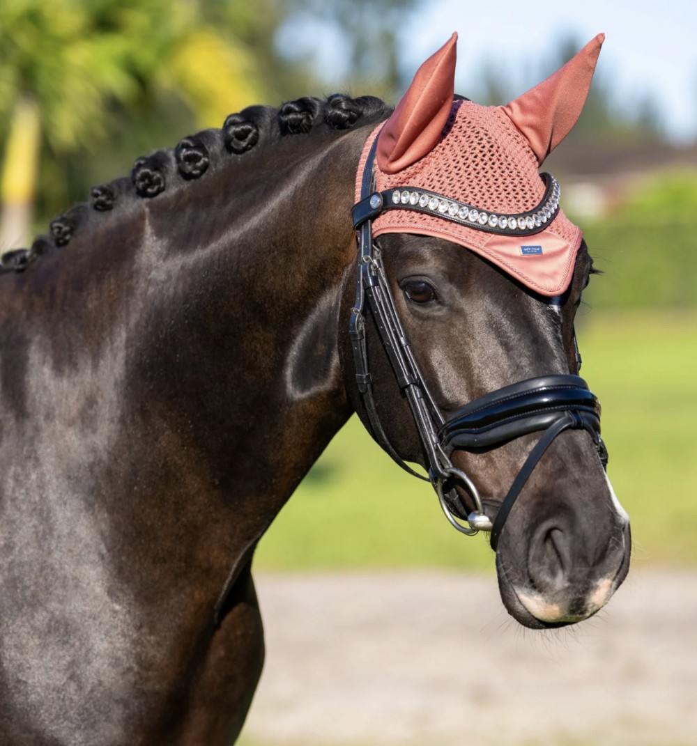 OREJERAS CORAL EQUESTRIAN STOCKHOLM