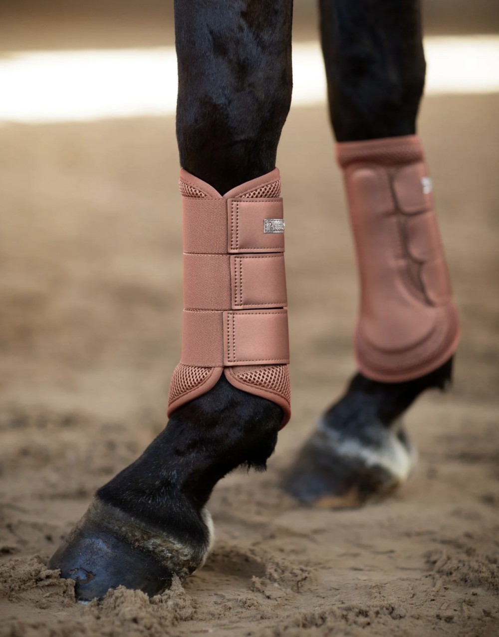 PROTECTORES CORAL EQUESTRIAN STOCKHOLM