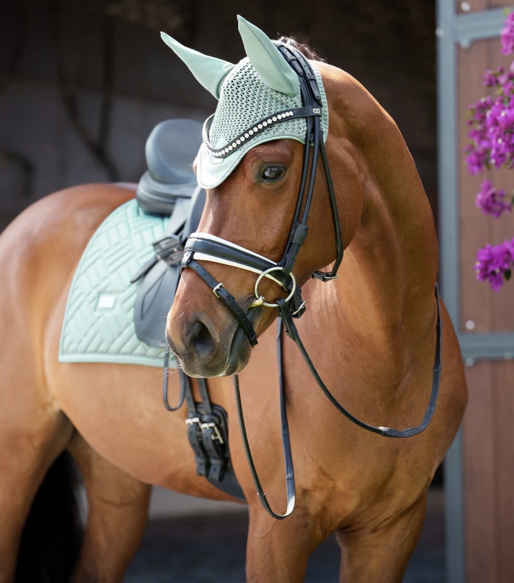 OREJERAS MINT GREEN EQUESTRIAN STOCKHOLM